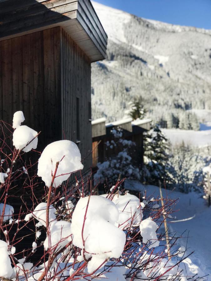 Chalet Sternwarte Hohentauern Extérieur photo